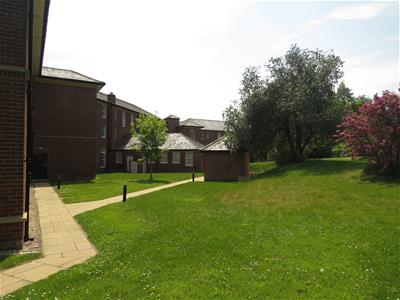Picture 9